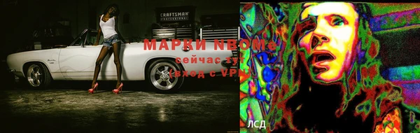 Альфа ПВП Аркадак