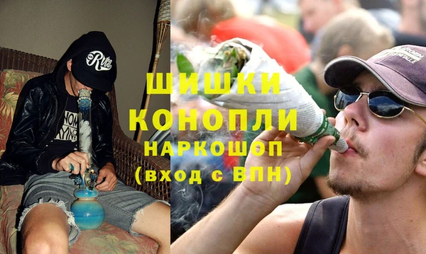 кокс Арсеньев