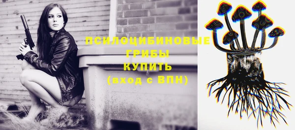 метадон Армянск