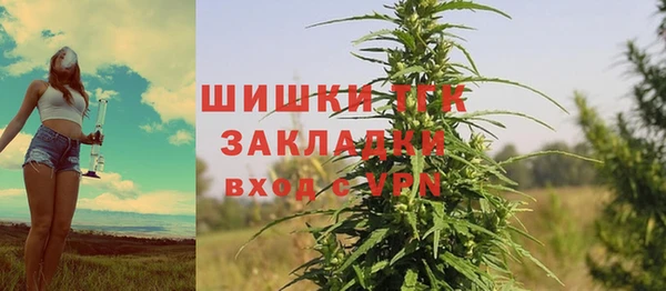 кокс Арсеньев